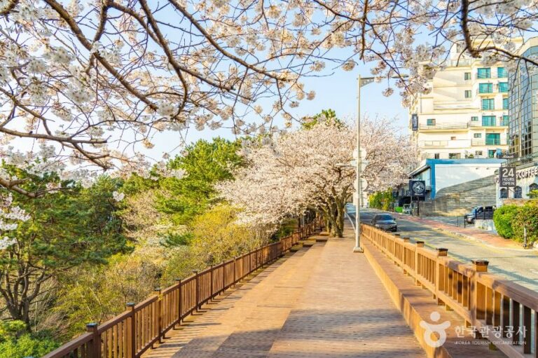 [예스키즈존] 문탠로드