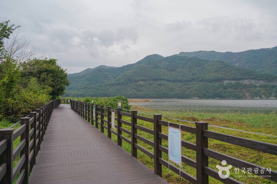 yeskids 1774212225 427 예스키즈존 탐험대 : 실패 없는 육아여행