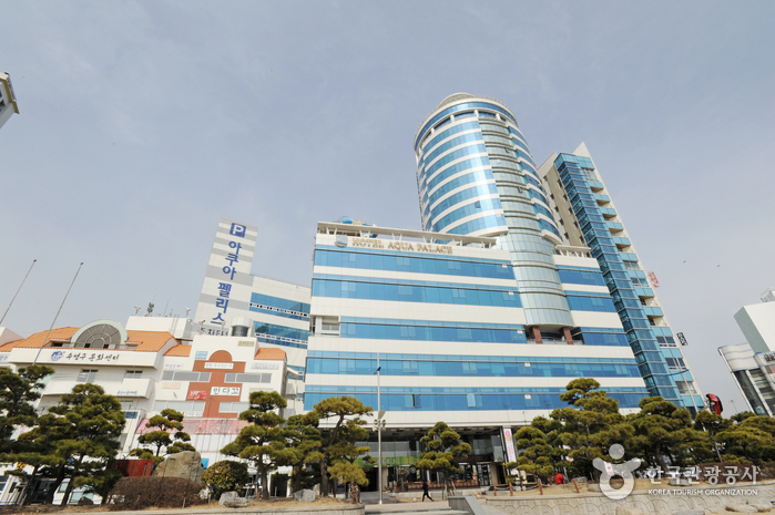 [예스키즈존] 호텔 아쿠아펠리스