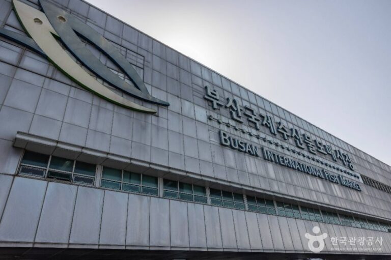 [예스키즈존] 부산 국제수산물도매시장