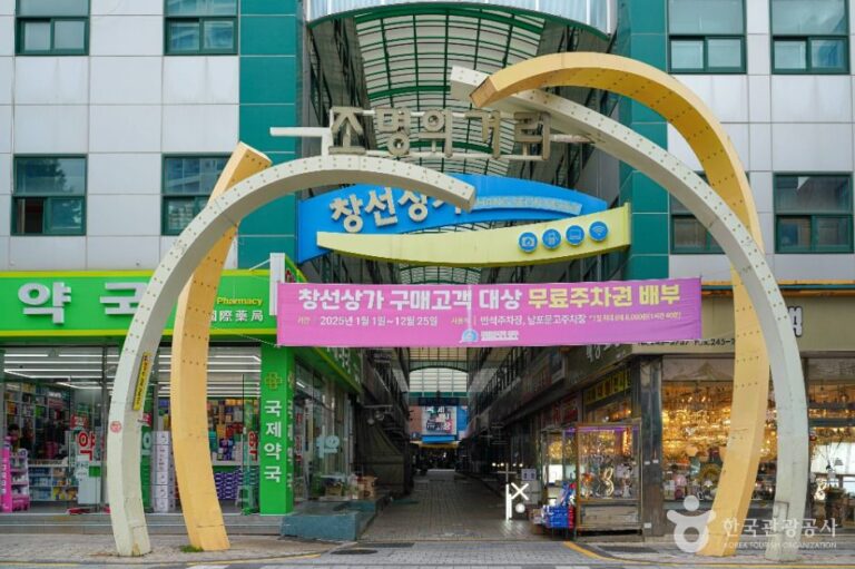 [예스키즈존] 조명의거리