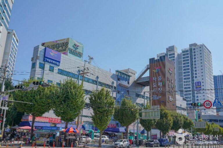 [예스키즈존] 부산 자유도매시장