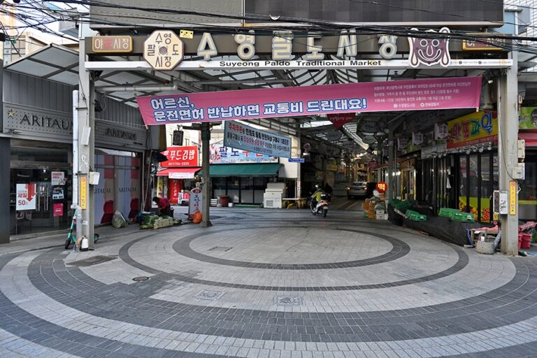 [예스키즈존] 수영팔도시장