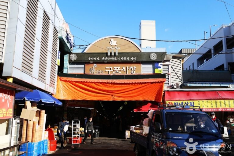 [예스키즈존] 구포시장