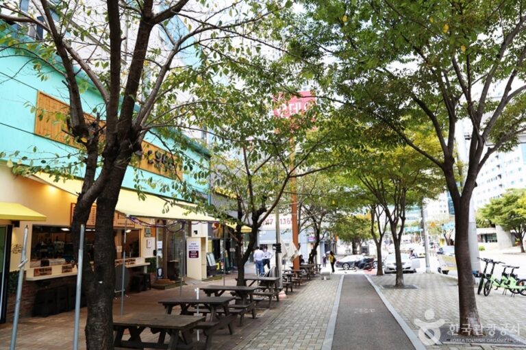 [예스키즈존] 해운대 로데오거리