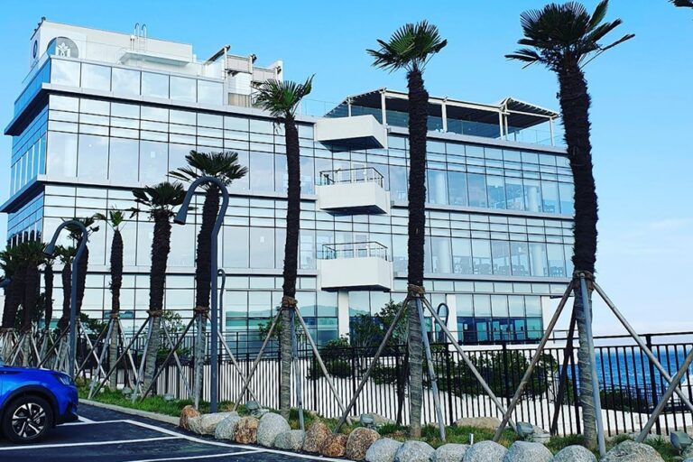 [예스키즈존] 마리솔