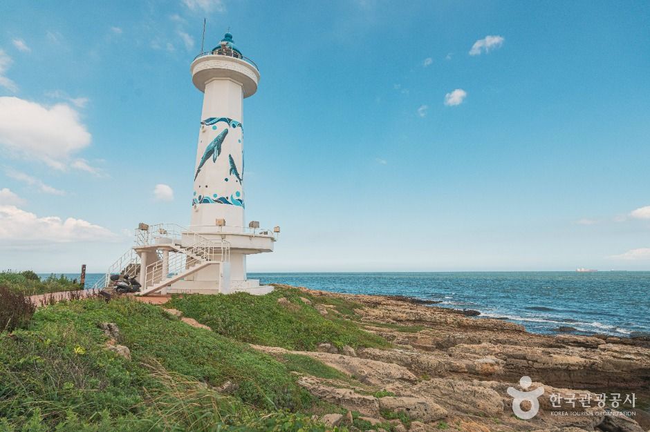 yeskids 1774384005 702 예스키즈존 탐험대 : 실패 없는 육아여행