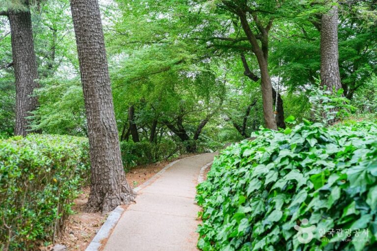 [예스키즈존] 학성공원