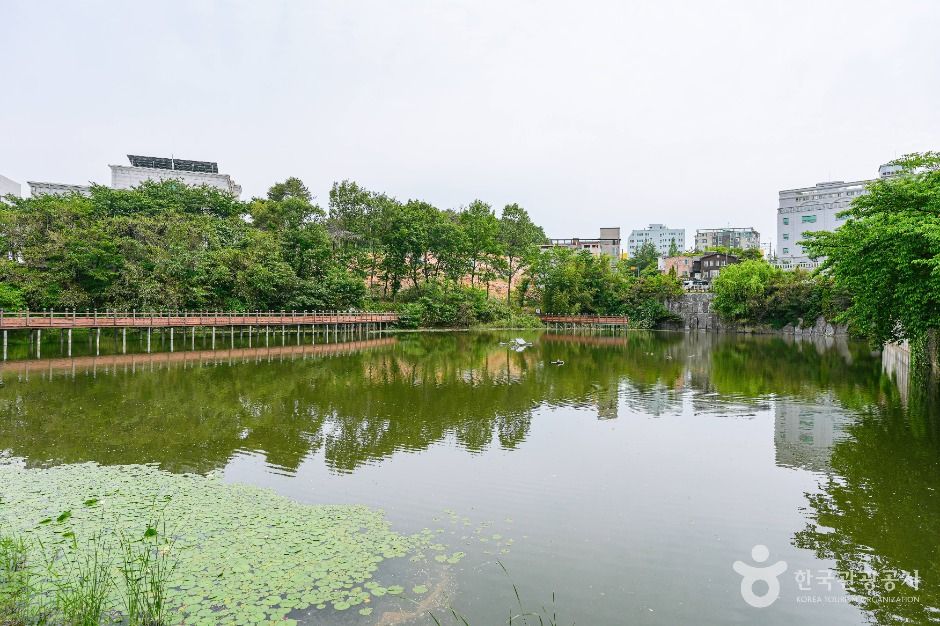 yeskids 1774384050 777 예스키즈존 탐험대 : 실패 없는 육아여행