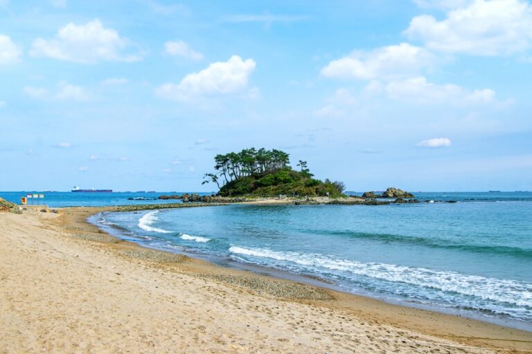 [예스키즈존] 진하해수욕장