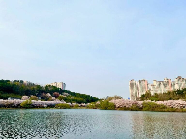 [예스키즈존] 선암호수공원