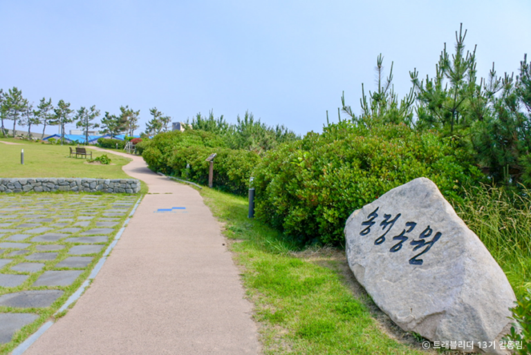 [예스키즈존] 송정공원