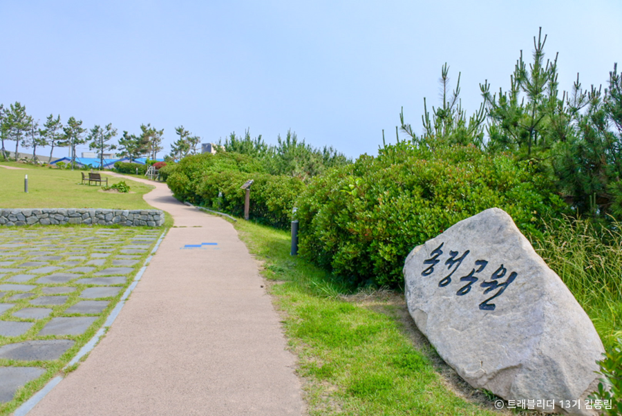 yeskids 1774384353 699 예스키즈존 탐험대 : 실패 없는 육아여행