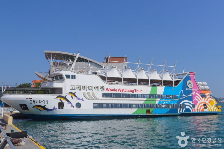 yeskids 1774384370 621 예스키즈존 탐험대 : 실패 없는 육아여행