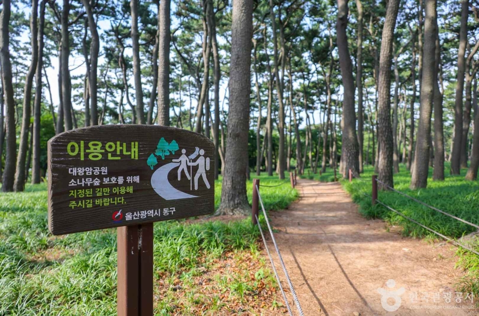 yeskids 1774384640 373 예스키즈존 탐험대 : 실패 없는 육아여행