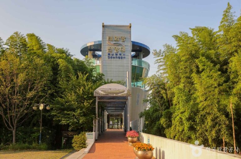 [예스키즈존] 태화강 전망대