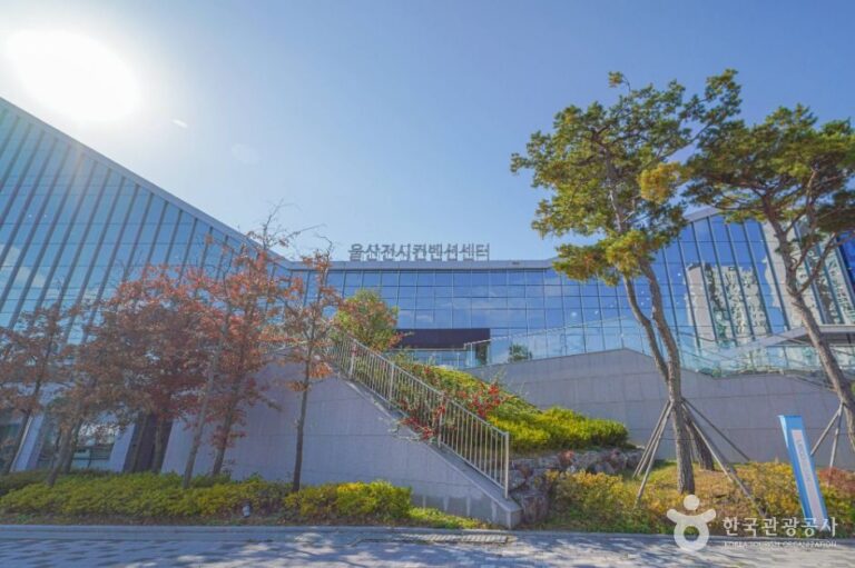 [예스키즈존] 울산전시컨벤션센터