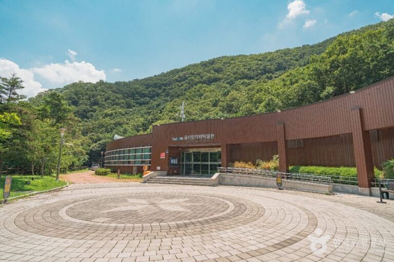 [예스키즈존] 울산암각화박물관