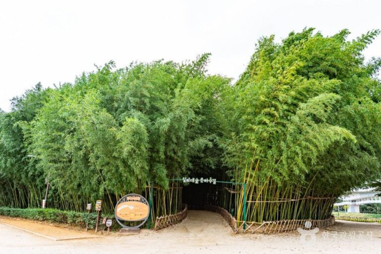 [예스키즈존] 태화강 국가정원십리대숲