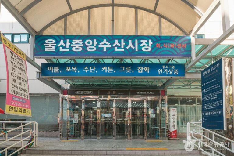 [예스키즈존] 울산 중앙전통시장