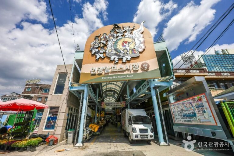 [예스키즈존] 언양알프스시장