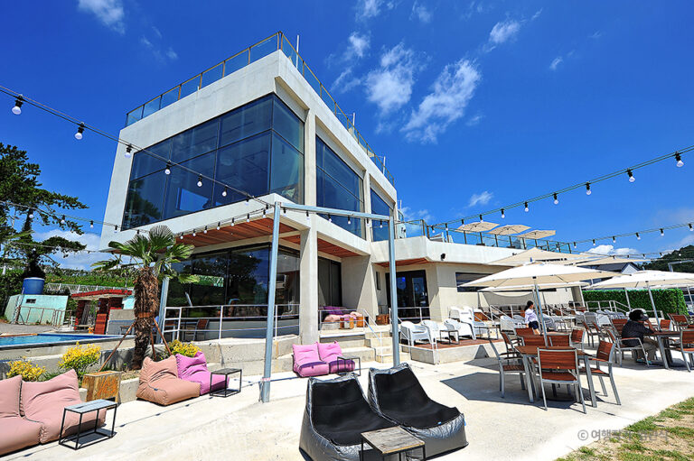 [예스키즈존] 호피폴라