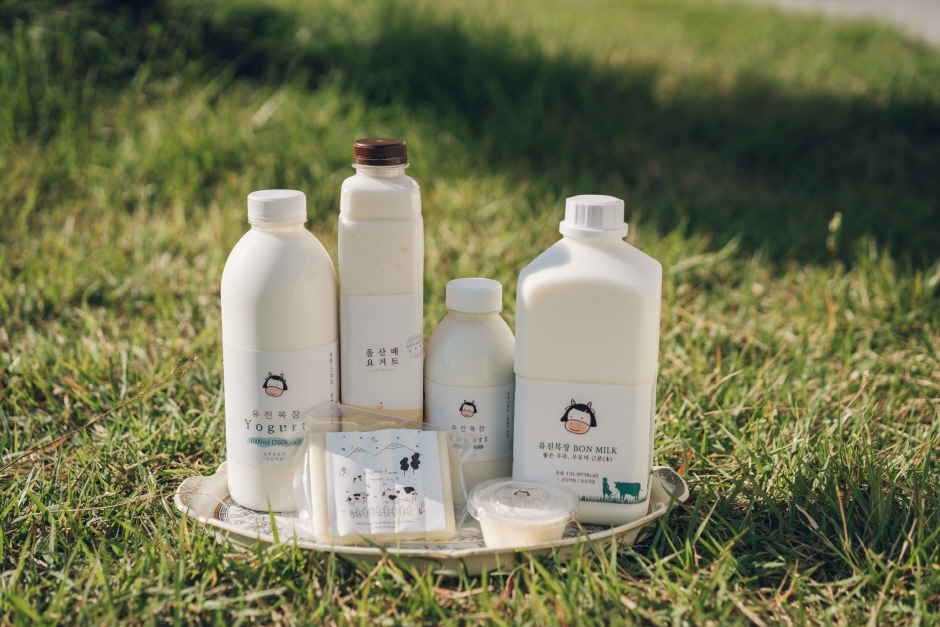 yeskids 1774385961 344 예스키즈존 탐험대 : 실패 없는 육아여행