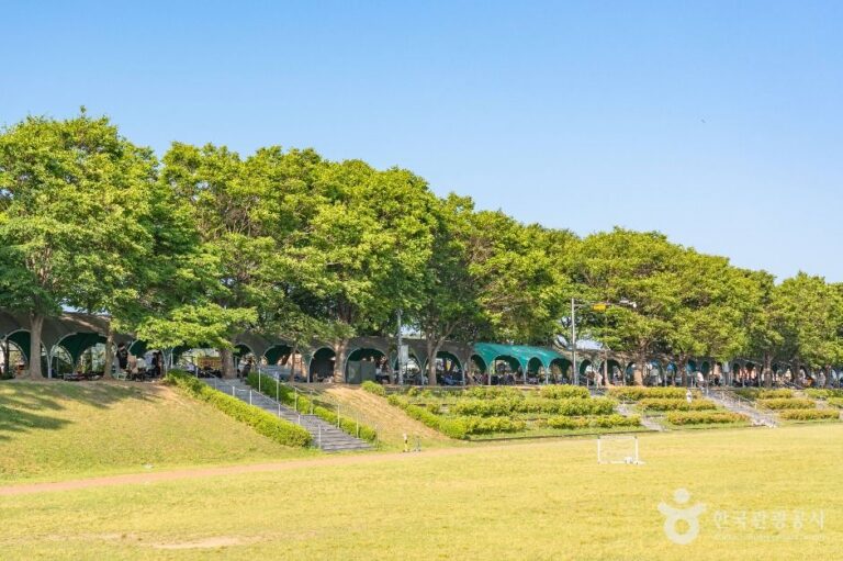 [예스키즈존] 진위천유원지