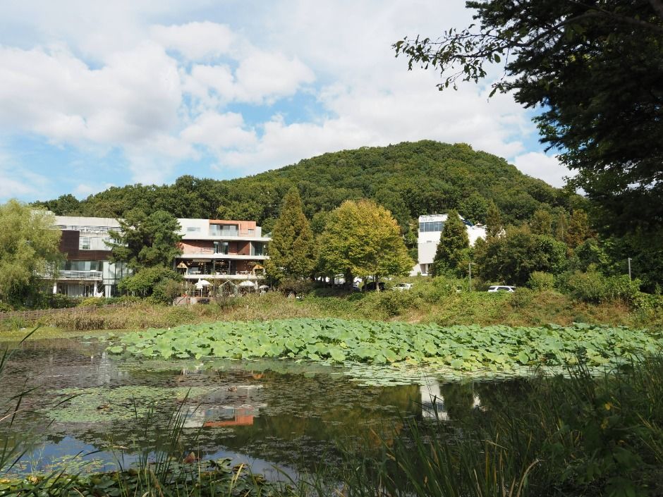 yeskids 1774470106 311 예스키즈존 탐험대 : 실패 없는 육아여행