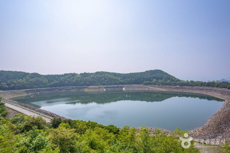[예스키즈존] 호명호수공원