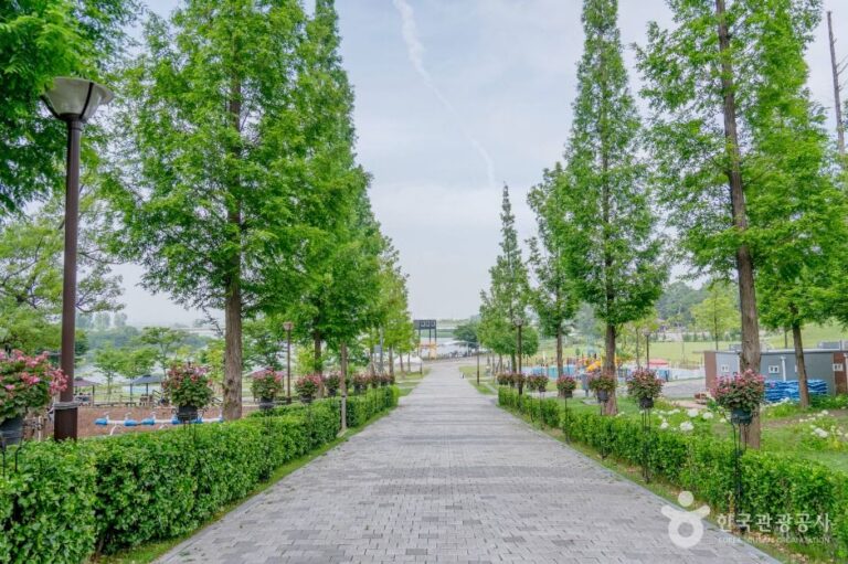 [예스키즈존] 내리문화공원