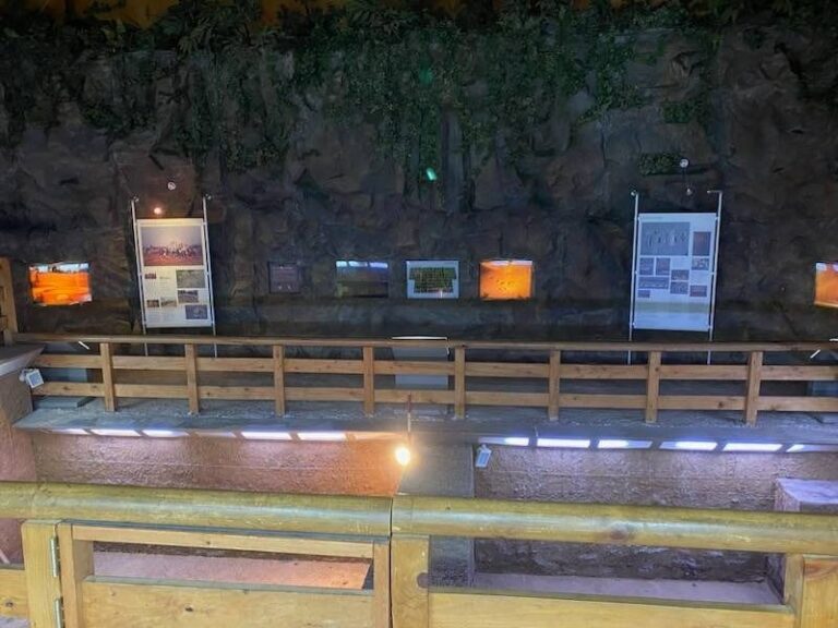 [예스키즈존] 전곡리 유적 토층