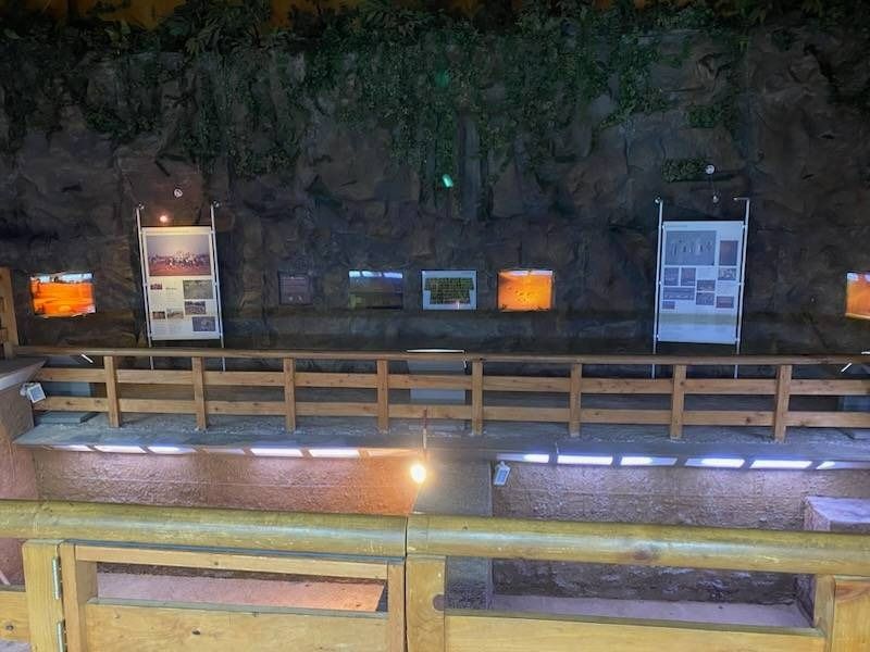 yeskids 1774470501 331 예스키즈존 탐험대 : 실패 없는 육아여행