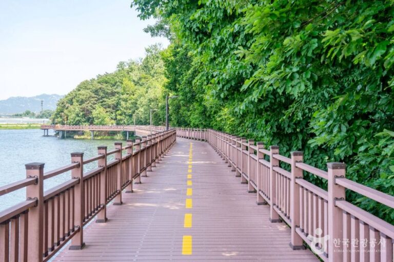 [예스키즈존] 백운호수 생태탐방로