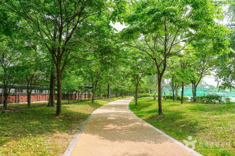 [예스키즈존] 서호꽃뫼공원