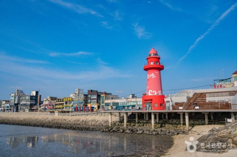 [예스키즈존] 오이도