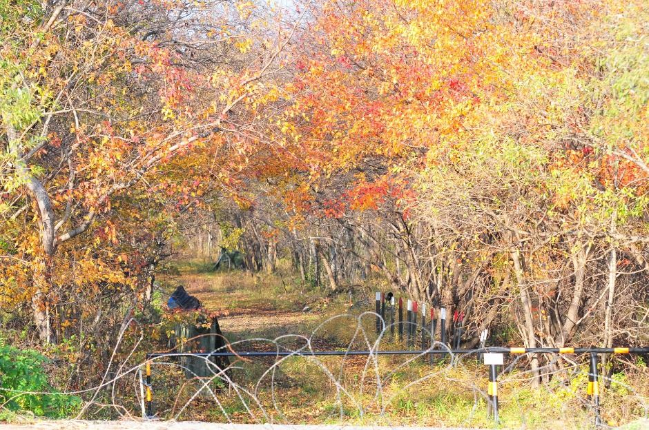 yeskids 1774470759 746 예스키즈존 탐험대 : 실패 없는 육아여행