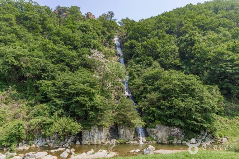 [예스키즈존] 화도푸른물센터 피아노폭포