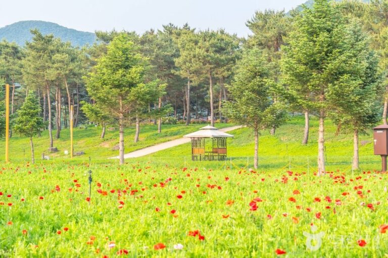 [예스키즈존] 자라섬