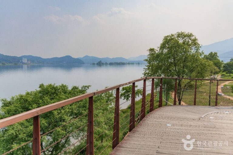 [예스키즈존] 다산생태공원