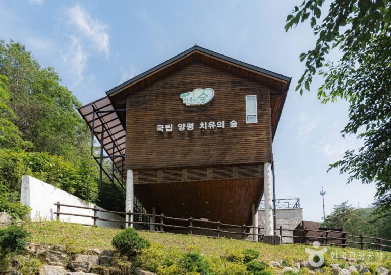 [예스키즈존] 국립양평치유의숲