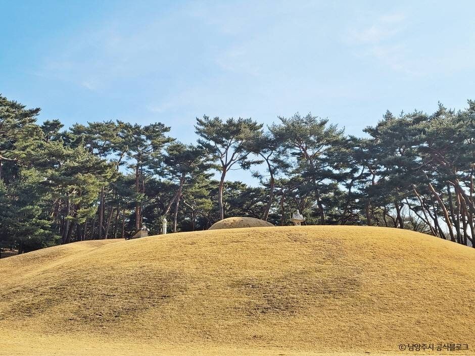 yeskids 1774470938 272 예스키즈존 탐험대 : 실패 없는 육아여행