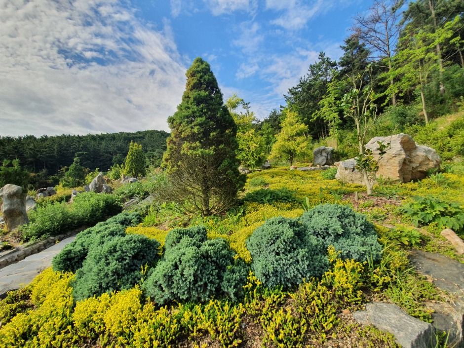 yeskids 1774470970 515 예스키즈존 탐험대 : 실패 없는 육아여행