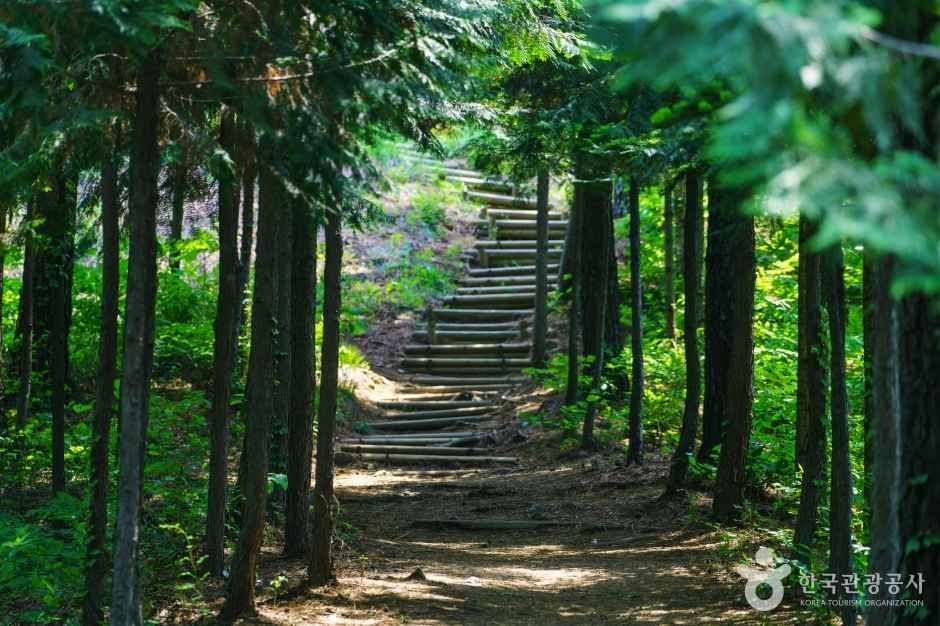 yeskids 1774471105 620 예스키즈존 탐험대 : 실패 없는 육아여행