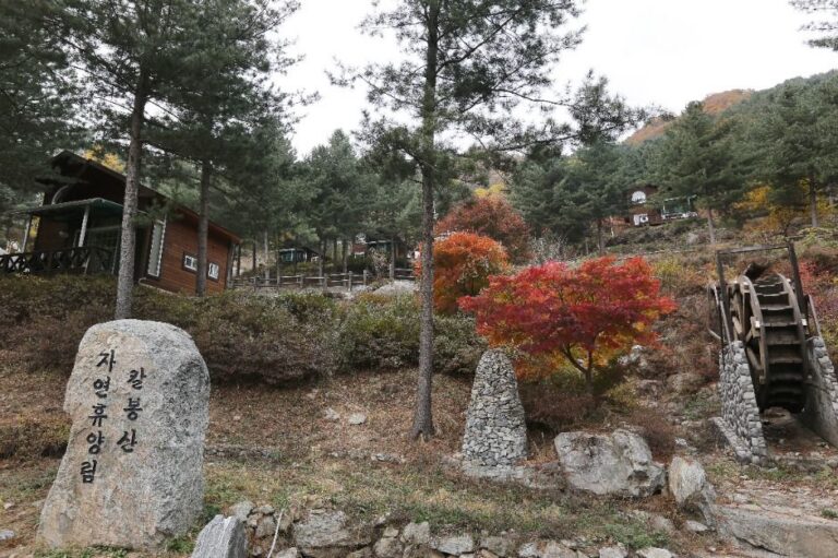 [예스키즈존] 칼봉산자연휴양림