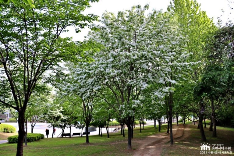 [예스키즈존] 여기산공원