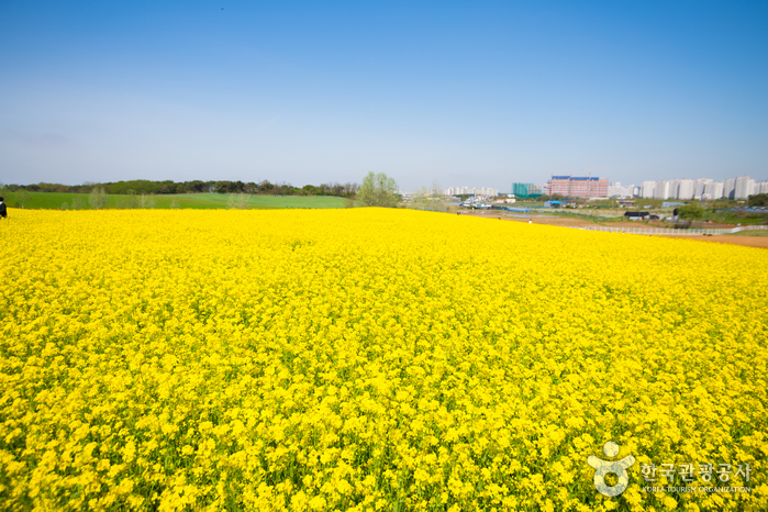 [예스키즈존] 안성팜랜드