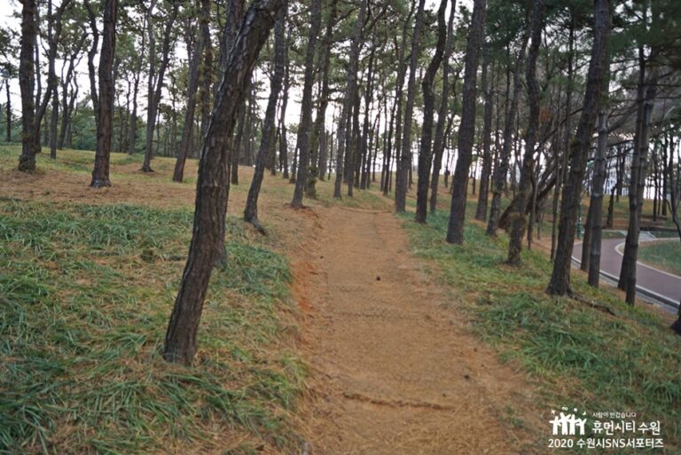 [예스키즈존] 수원올림픽공원