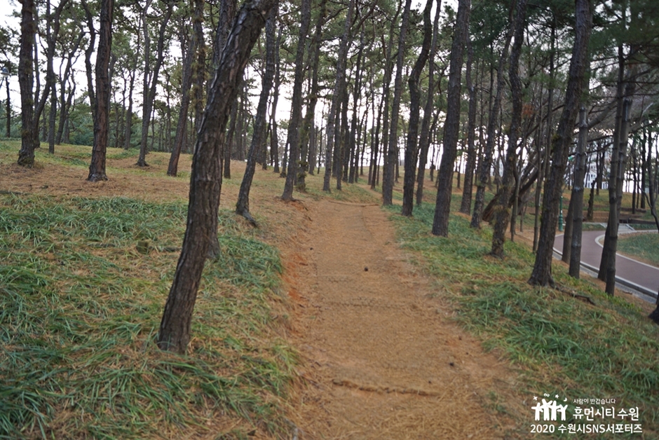 yeskids 1774471313 926 예스키즈존 탐험대 : 실패 없는 육아여행