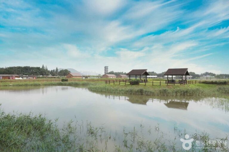 [예스키즈존] 시흥 갯골생태공원